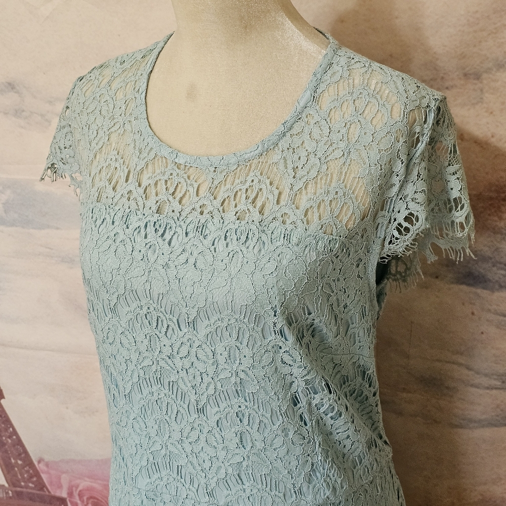 NWT Lane Bryant lace lined dress sz 22 - Picture 3 of 11
